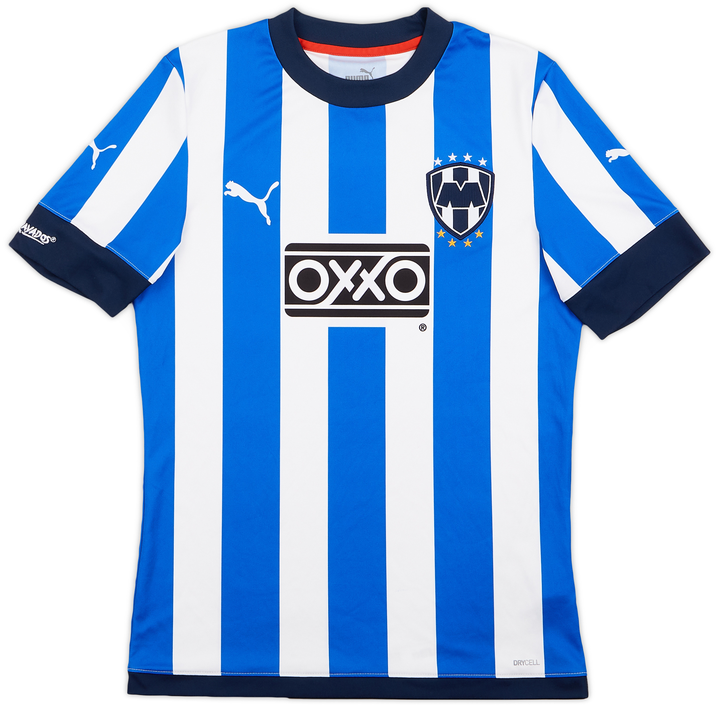 CF Monterrey  home shirt (Original)