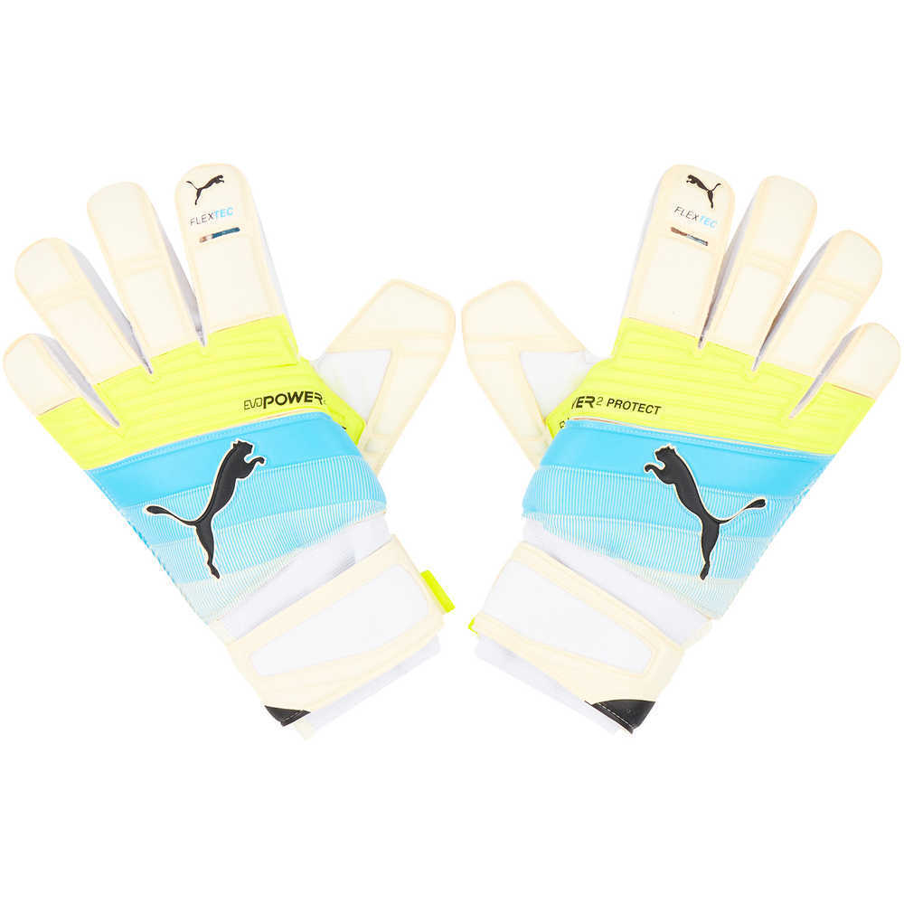 Puma GK Gloves evoPOWER Protect 2.3 *BNIB* 7